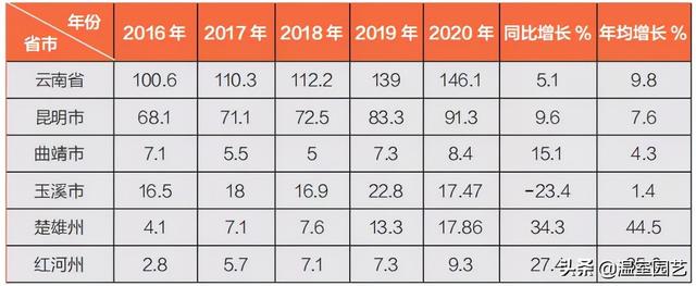 速看｜2020云南花卉产业发展情况分析