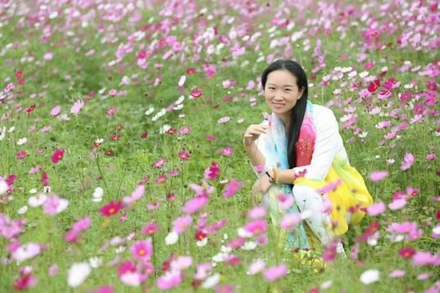 惠州200亩格桑花已开！邂逅大自然，来一场充满诗意的短途旅行