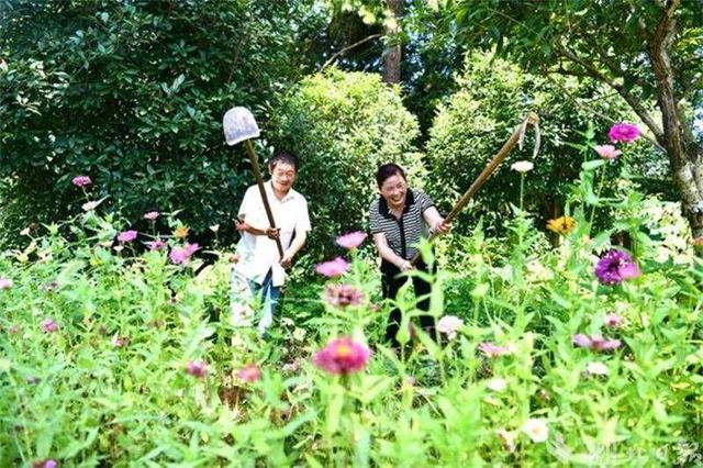 通城：国土绿化提升绿水青山“颜”“值”