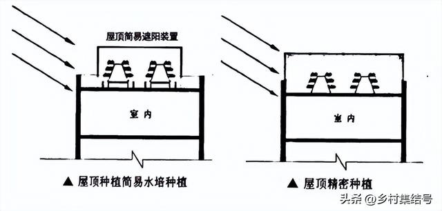 在家种植？办公室种植？垂直农业会成为下一道风口吗？