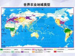 种植业分布中国(商品谷物农业、水稻种植业和大牧场放牧业的分布与特点)