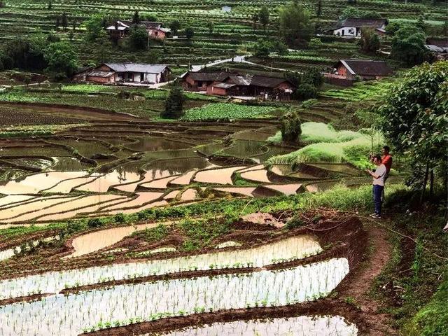 成都户外：走，去距离成都超近的3000亩梯田，休闲徒步摘野菜