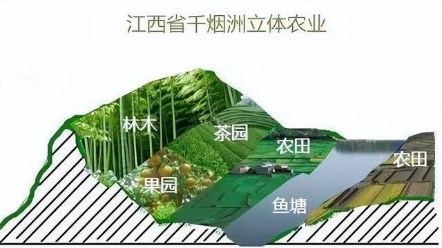 十八种农业类型，你想了解的都在这里