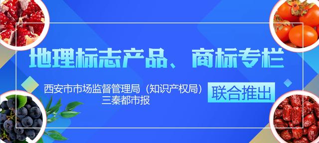 周至猕猴桃：走向富裕生活的“致富果”