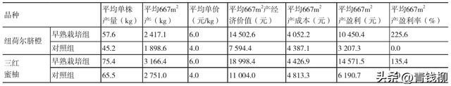 想让柑橘产量翻倍？早熟栽培技术是关键！