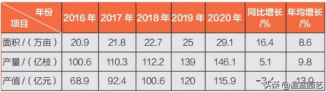 速看｜2020云南花卉产业发展情况分析