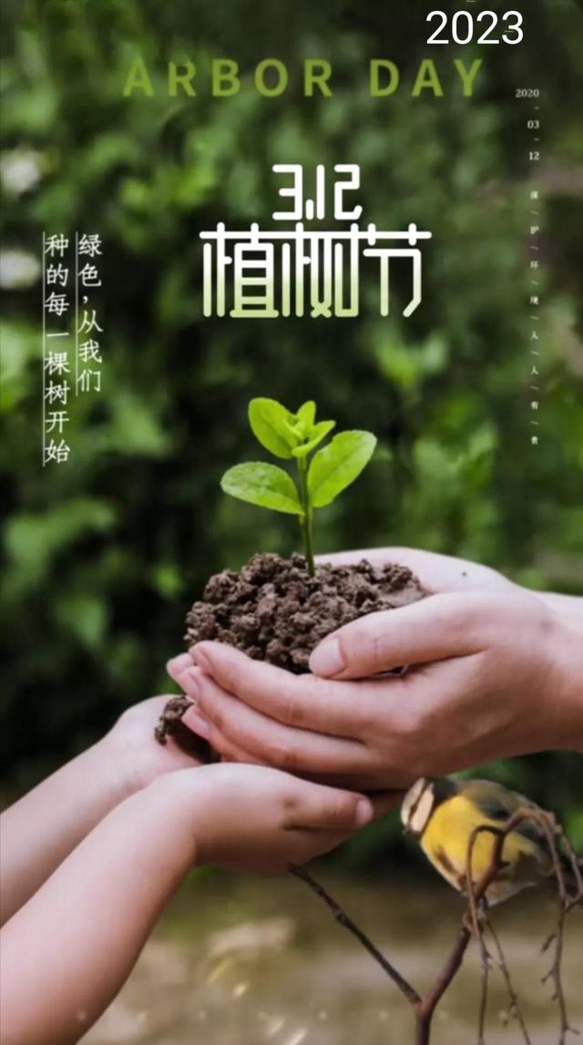 2023 植树节祝福语，春风十里，正“植”有你，植树节文案精美配图