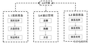 江西玫瑰花种植(江西盆栽微型月季轻简化育苗技术)