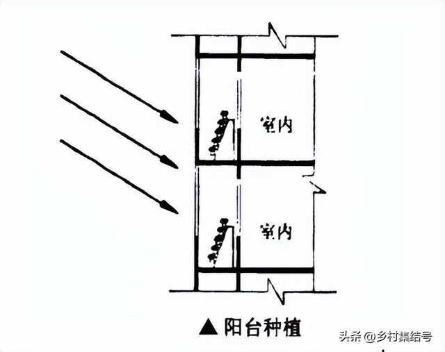 在家种植？办公室种植？垂直农业会成为下一道风口吗？