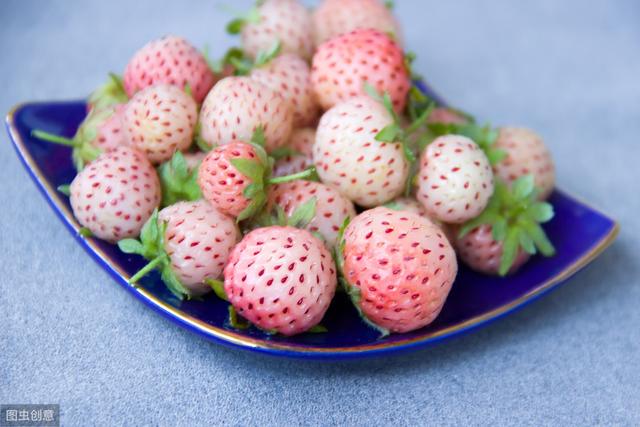 菠萝莓酸甜可口有菠萝的味道，种植简单容易，无奈产量过低