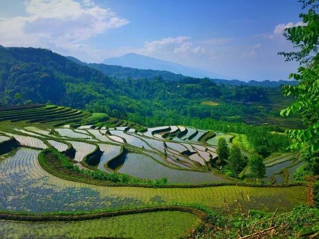 成都户外：走，去距离成都超近的3000亩梯田，休闲徒步摘野菜