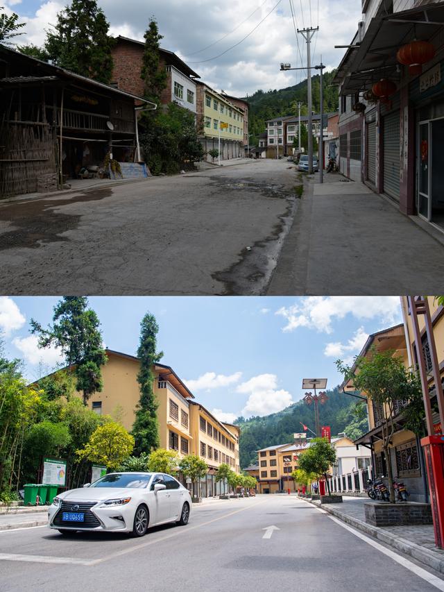 （经济）重庆石柱：黄精种植助农走上致富路