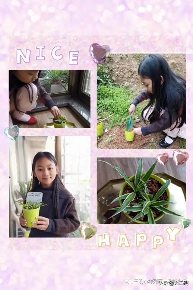 抗疫宅家，我为爱播种——上河城小学“3.12”植树节活动