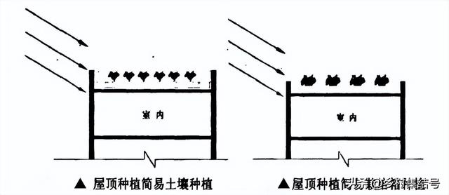 在家种植？办公室种植？垂直农业会成为下一道风口吗？