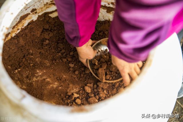 学会自制酵素堆肥，松土肥地、促长增产、减少病害，手把手教