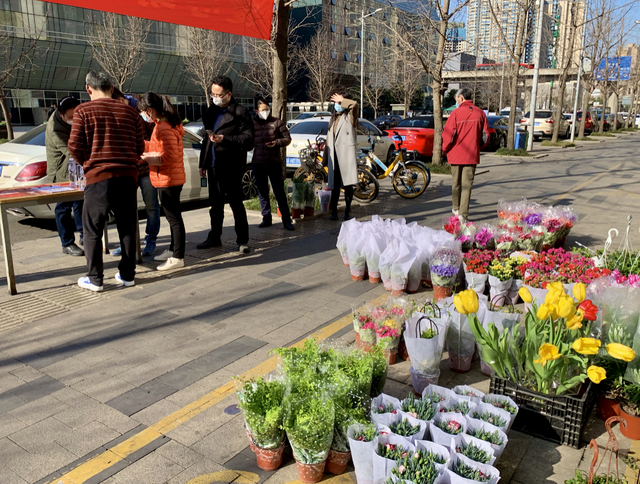 成都锦江汇泉路社区合力救花 线上销售上百盆鲜花