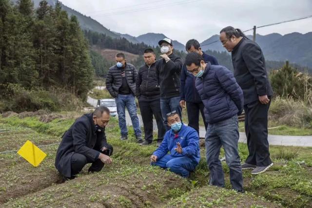 以工业化管理体系打造高山生态产业——韶关乐昌市绿乐源农产品专业合作社