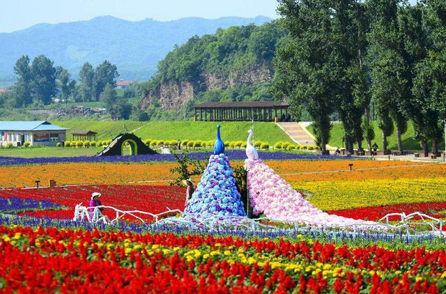 通化市东昌区金厂镇夹皮沟村：发展特色种植业 “种”出村民好日子