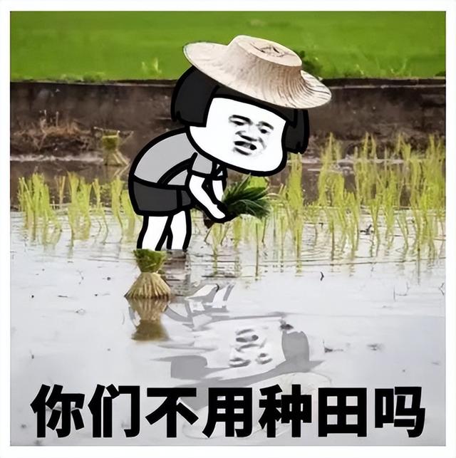 水稻的进化过程很复杂？用“集五福”的思路理解就好了！