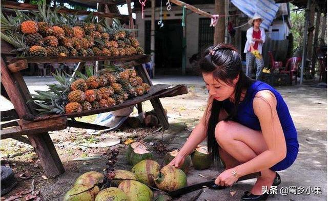 要想种植菠萝年年丰产，根、茎、芽、叶四大生长特性需要掌握