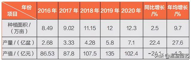 速看｜2020云南花卉产业发展情况分析