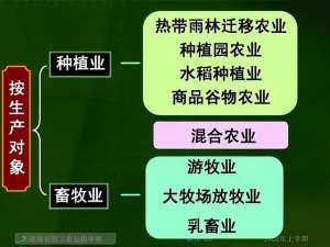 各种水果的种植方法(十八种农业类型，你知道几个？)