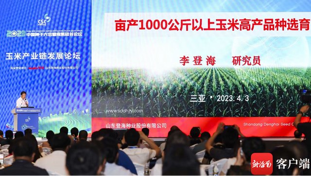 李登海：选育亩产1000公斤以上高产玉米品种关系粮食安全