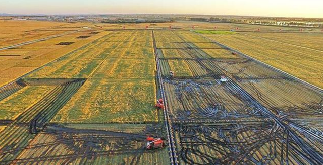 探究东北平原，农田土壤养分空间分布，有何影响因素？