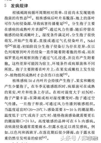 德庆、仁化的朋友看过来！全面解析认识贡柑褐斑病，这下你有福了