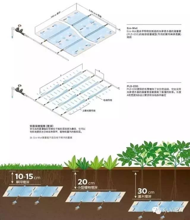 屋顶花园设计及植物选择搭配