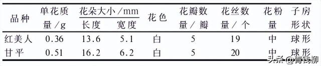 红美人、甘平柑橘在昆山市的引种表现及配套栽培技术