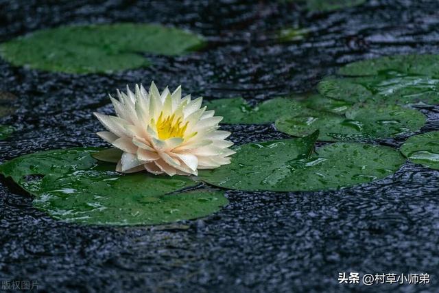 明天21号，大雨范围已确定，连下三天。今夏雨多么？看农谚咋说