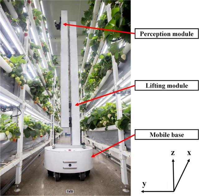 现代农业机械研究：在室内进行草莓产量监测的机器人