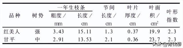 红美人、甘平柑橘在昆山市的引种表现及配套栽培技术