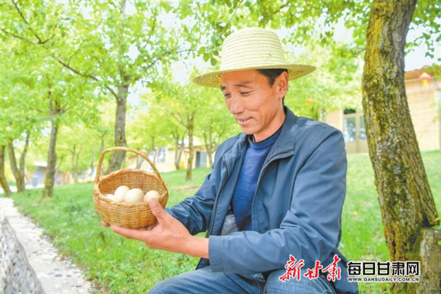 【乡村·新聚焦】乡村振兴新潮涌 筑牢“三农”压舱石——甘肃省农业农村经济形势持续向好稳中有进