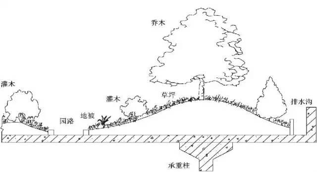 屋顶花园设计及植物选择搭配