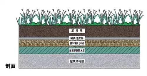 屋顶花园设计及植物选择搭配