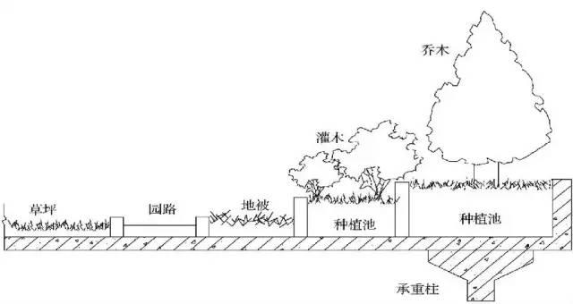 屋顶花园设计及植物选择搭配