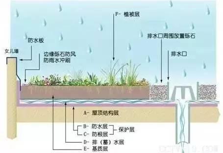 屋顶花园设计及植物选择搭配