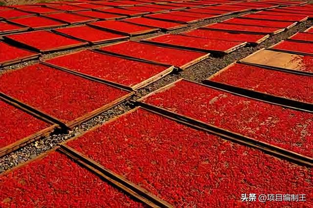 枸杞产业示范园建设可行性研究报告