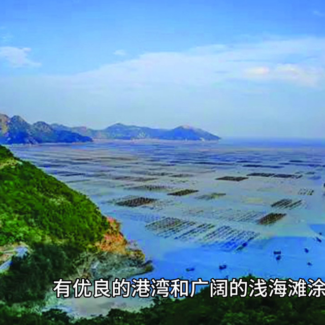 石狮：“古浮紫菜”成沿海农民增收致富的重要来源