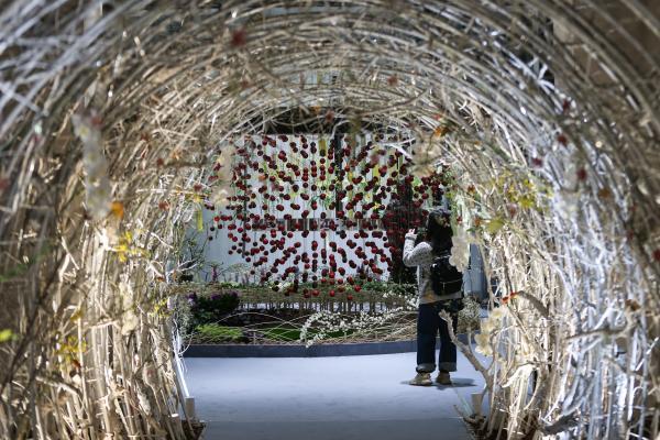 上海国际花展第三次采用“双女主”，两千多年前它就是定情信物