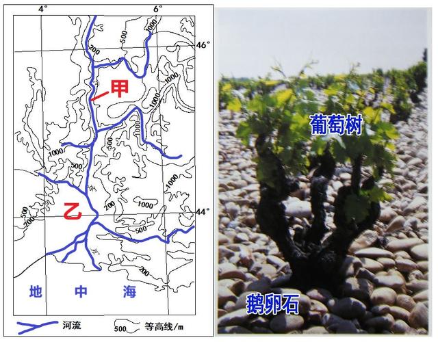 高中地理——每日讲1题（农业区位、地中海气候、昼夜温差）