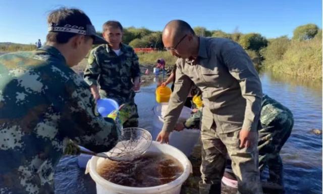 节日我在岗｜好种子长出好药材！刺五加种子处理“一刻不停”