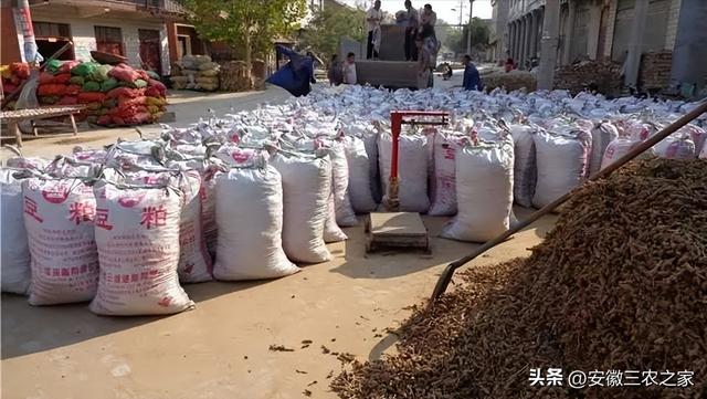 他，种植200亩白术，通过10年经验积累，每亩效益过万，终成赢家