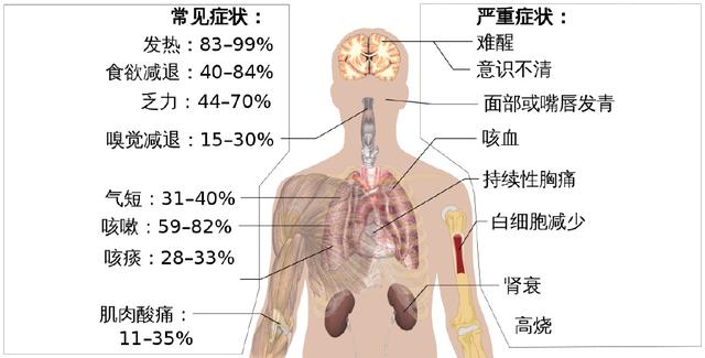 连花清瘟上游公司深度发掘，重点关注中药种植板块机会