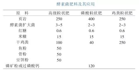 彭老太脐橙大卖有秘方，酵素肥料添味道是关键