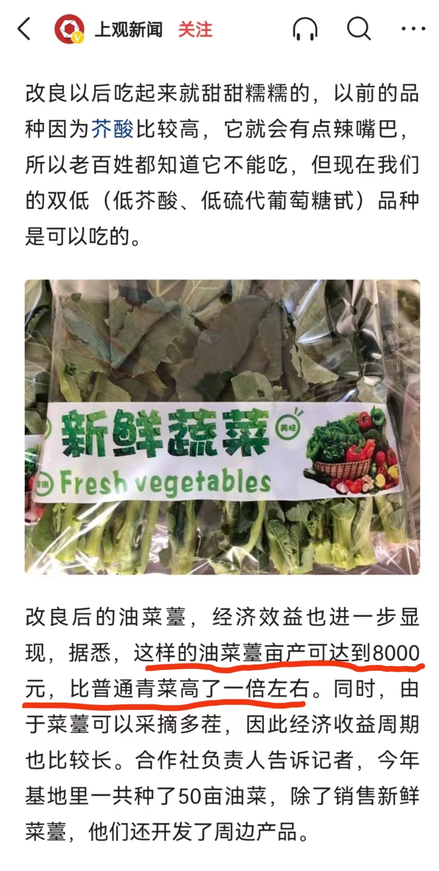 口感甜糯，亩产8000元，新型蔬菜油菜苔怎么种？高产栽培要注意啥