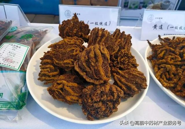 高鹏说药材：近期热点药材品种行情走势分析