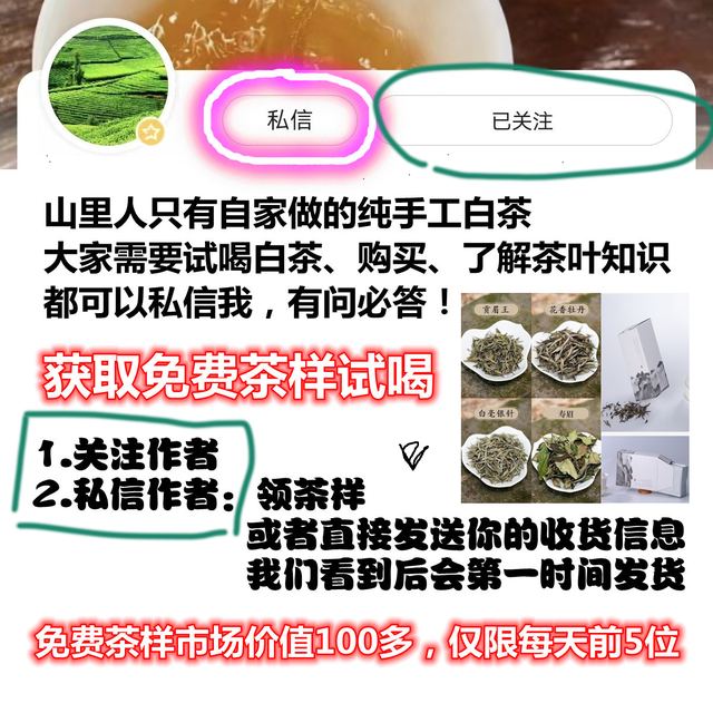 白茶的种植你知道吗